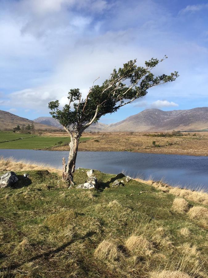 Railway View - Connemara Bed & Breakfast Recess Dış mekan fotoğraf